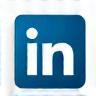 Icona LinkedIn